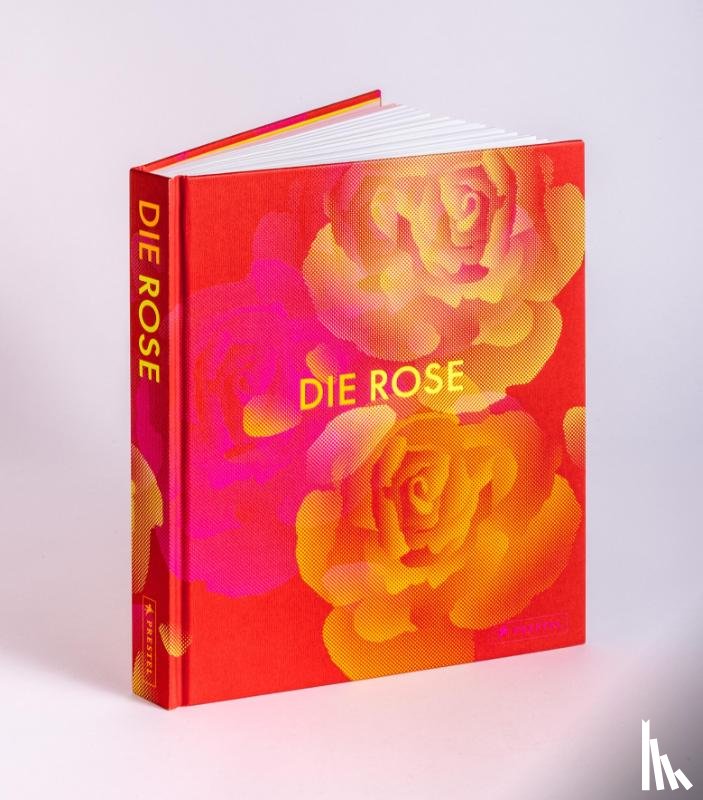  - Die Rose