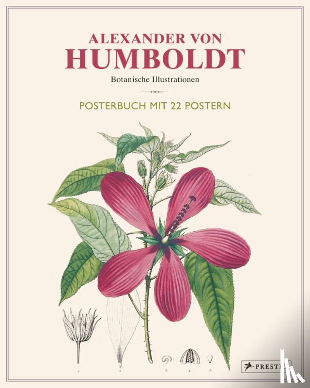 Baume, Otfried - Alexander von Humboldt: Botanische Illustrationen. Posterbuch mit 22 Postern