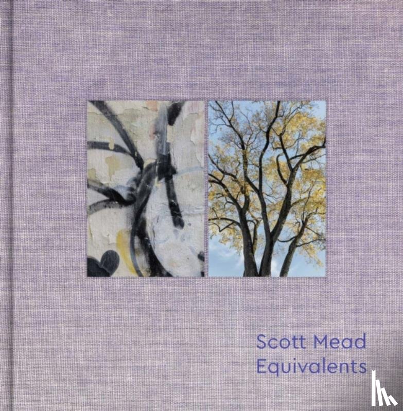 Mead, Scott - Equivalents
