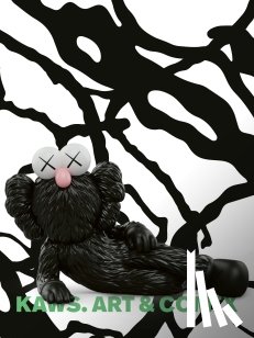  - KAWS