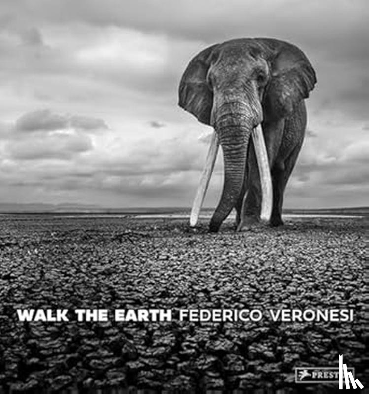 Veronesi, Federico - Walk the Earth