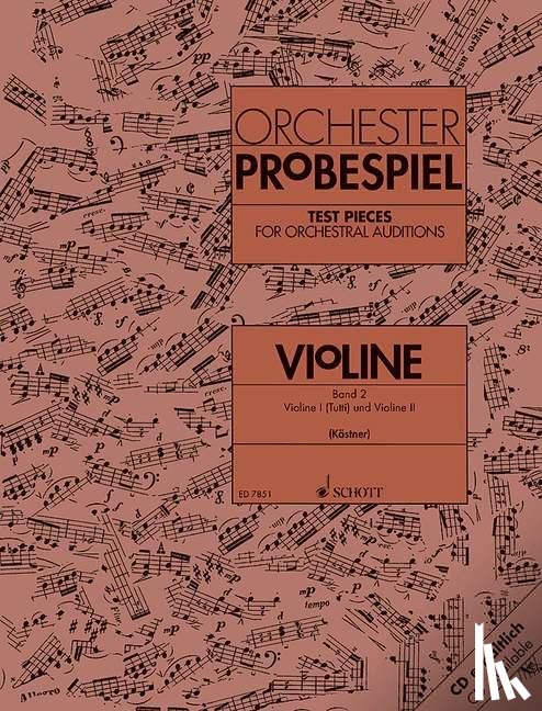 - Orchester-Probespiel Violine