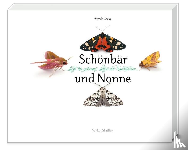 Dett, Armin - Schönbär und Nonne