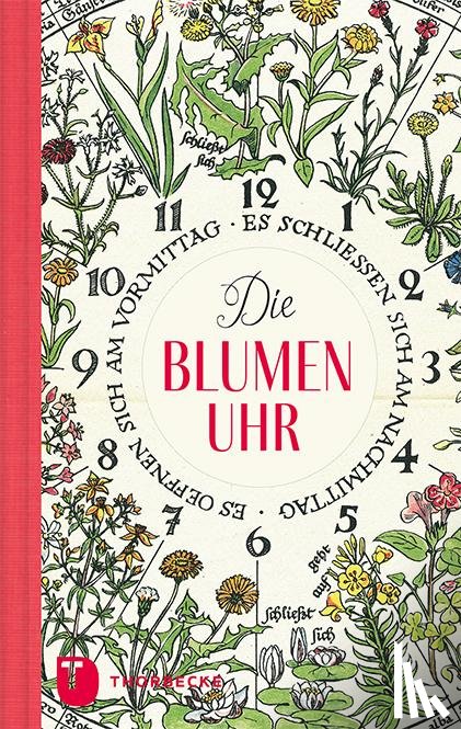  - Die Blumenuhr