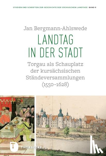 Bergmann-Ahlswede, Jan - Landtag in der Stadt