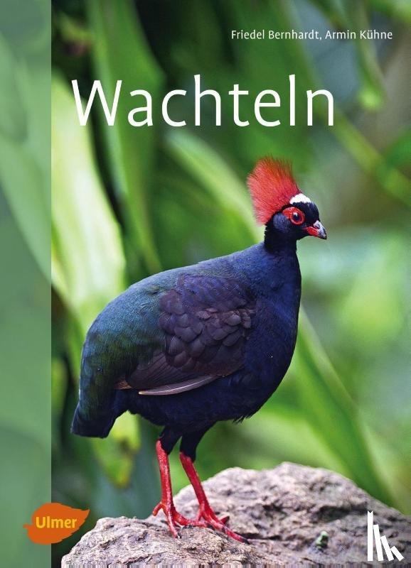 Bernhardt, Friedel, Kühne, Armin - Wachteln