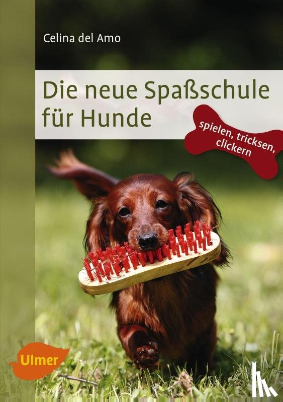 DelAmo, Celina - Die neue Spaßschule für Hunde