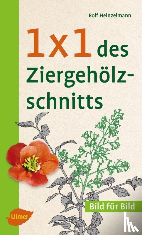 Heinzelmann, Rolf - 1 x 1 des Ziergehölzschnitts