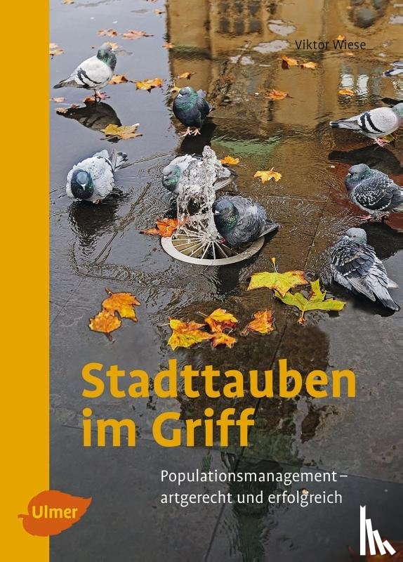 Wiese, Viktor - Stadttauben im Griff