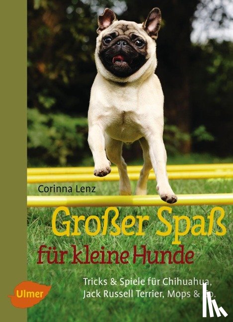 Lenz, Corinna - Großer Spaß für kleine Hunde