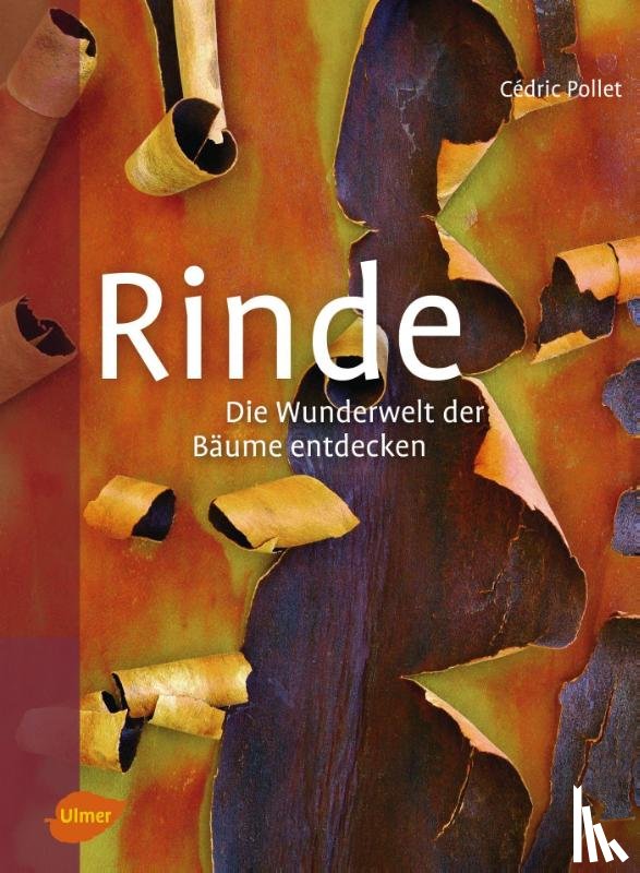 Pollet, Cédric - Rinde