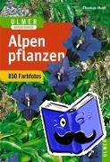 Muer, Thomas, Angerer, Oskar - Alpenpflanzen