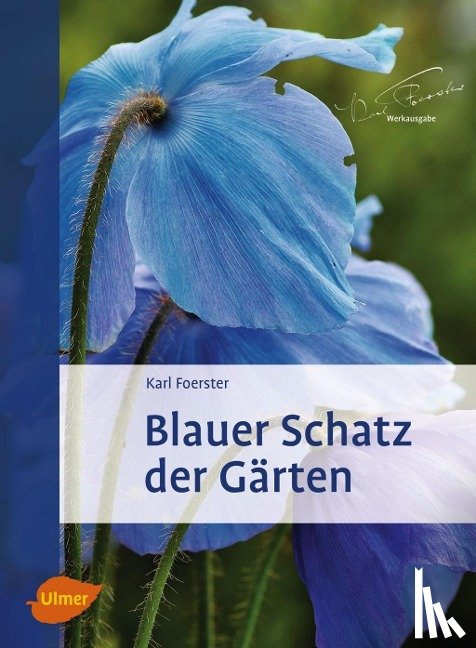 Foerster, Karl, Kühn, Norbert - Blauer Schatz der Gärten