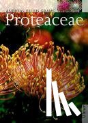 Grams, Andreas Julius - Proteaceae