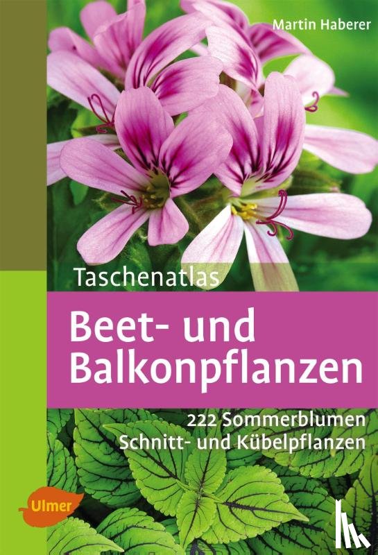 Haberer, Martin - Taschenatlas Beet- und Balkonpflanzen