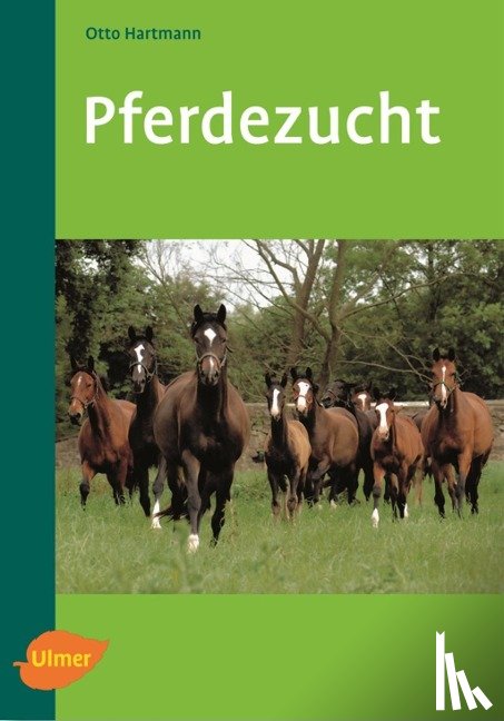 Hartmann, Otto - Pferdezucht
