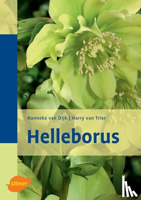 Dijk, Hanneke van, Trier, Harry van - Helleborus