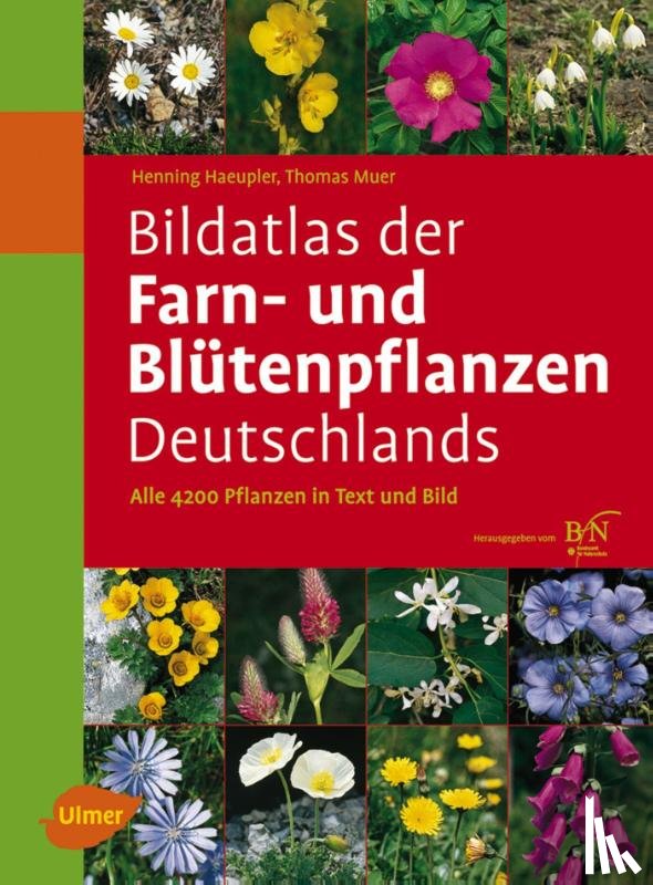 Haeupler, Henning, Muer, Thomas - Bildatlas der Farn- und Blütenpflanzen Deutschlands