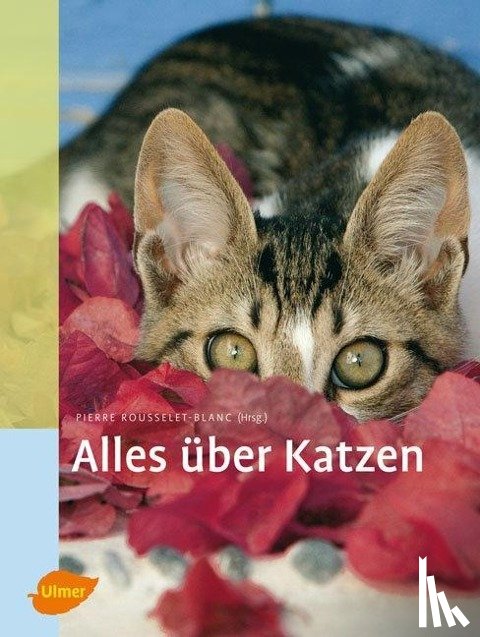  - Alles über Katzen