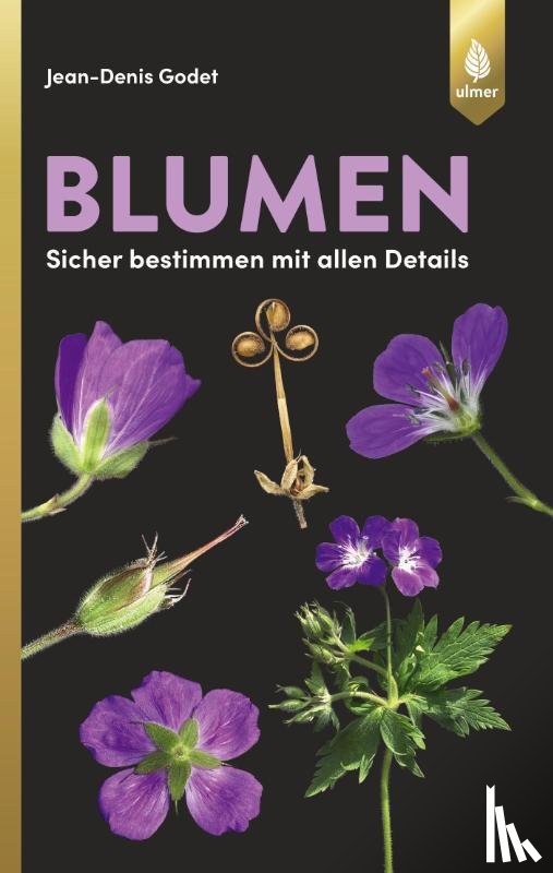 Godet, Jean-Denis - Blumen