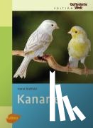 Bielfeld, Horst - Kanarien