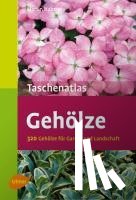 Haberer, Martin - Taschenatlas Gehölze