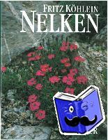 Köhlein, Fritz - Nelken