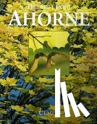 Pirc, Helmut - Ahorne