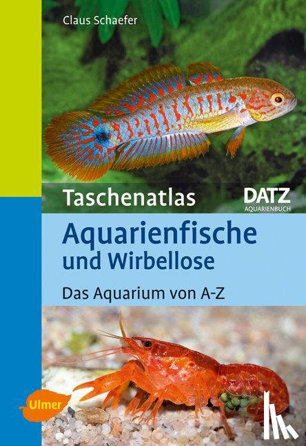 Schaefer, Claus - Taschenatlas Aquarienfische und Wirbellose