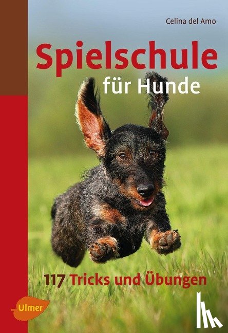 DelAmo, Celina - Spielschule für Hunde