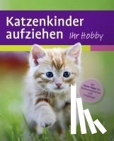 Evans, Mark - Katzenkinder aufziehen