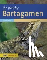 Müller, Veronika - Bartagamen