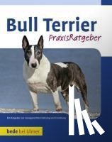 Gibson, Bethany - Bull Terrier