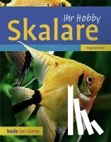 Brall, Siegfried - Skalare