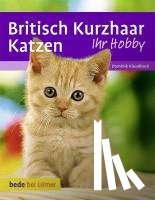 Kieselbach, Dominik, Betz, Anita - Britisch Kurzhaar Katzen