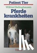Bellinghausen, Wilfried - Pferdekrankheiten