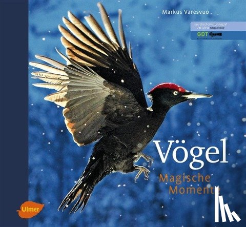 Varesvuo, Markus - Vögel - Magische Momente
