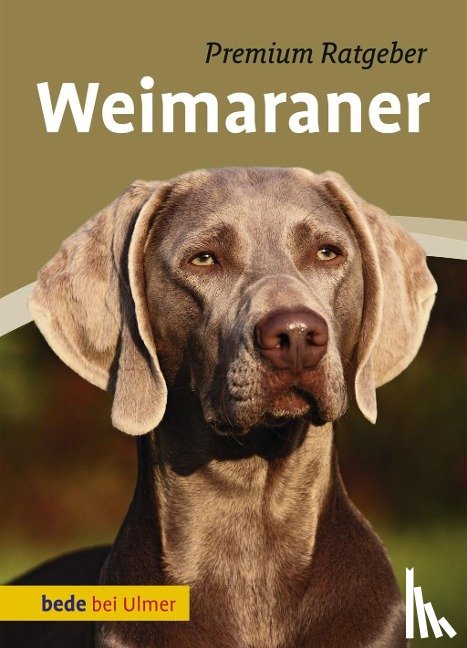 Schmitt, Annette - Weimaraner