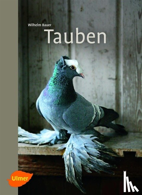 Bauer, Wilhelm - Tauben