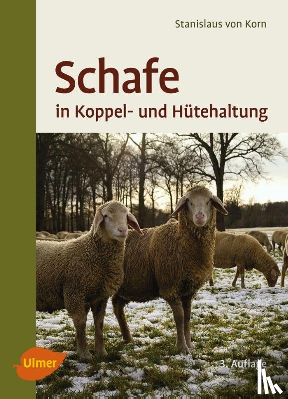 Korn, Stanislaus von, Kalm, Ernst - Schafe in Koppel- und Hütehaltung