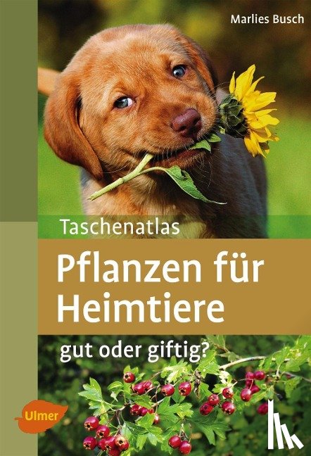 Busch, Marlies - Taschenatlas Pflanzen für Heimtiere