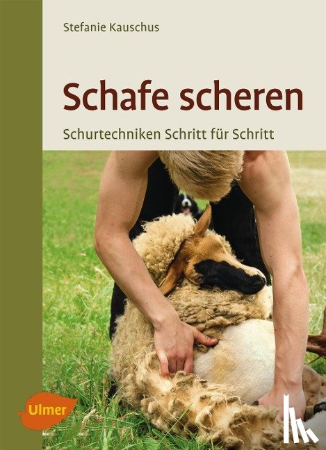 Kauschus, Stefanie - Schafe scheren