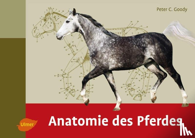 Goody, Peter C. - Anatomie des Pferdes