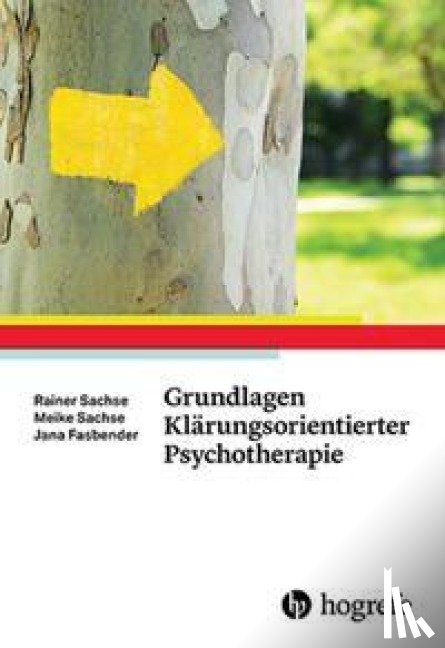 Sachse, Rainer, Sachse, Meike, Fasbender, Jana - Grundlagen Klärungsorientierter Psychotherapie
