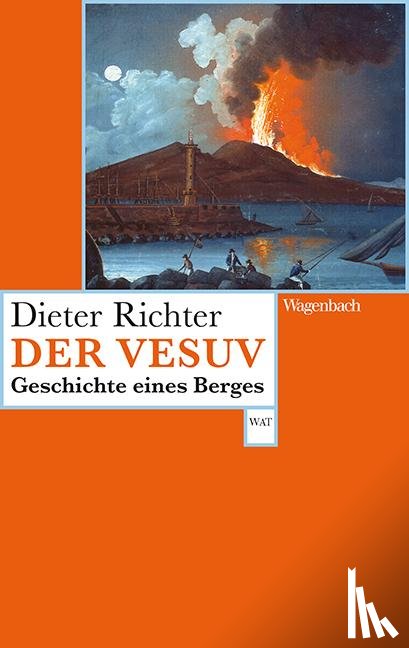 Richter, Dieter - Der Vesuv