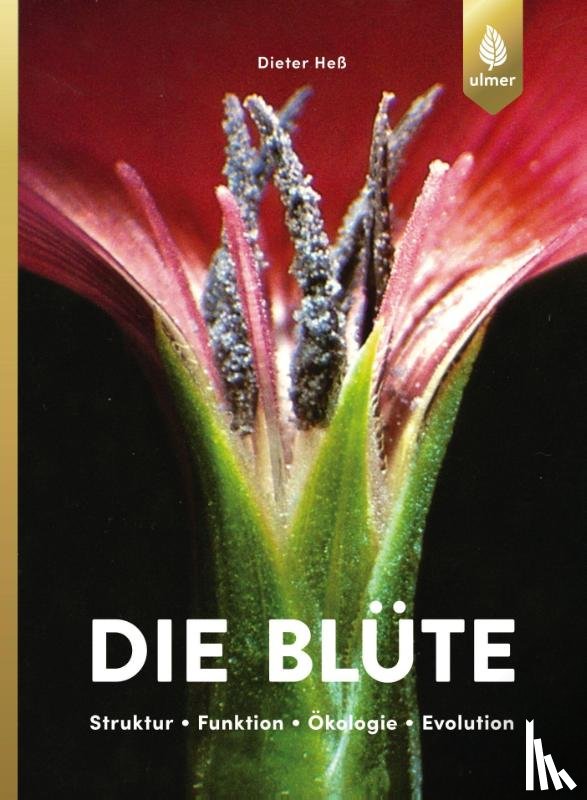 Heß, Dieter - Die Blüte