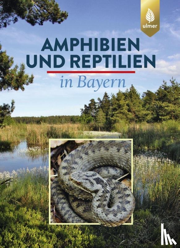 Andrä, Eberhard, Aßmann, Otto, Dürst, Thomas, Hansbauer, Günter - Amphibien und Reptilien in Bayern