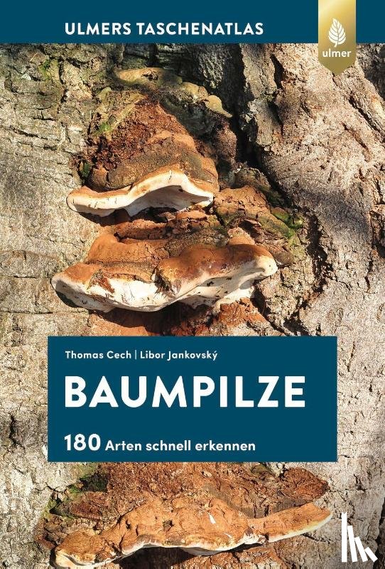 Cech, Thomas L., Jankovský, Libor - Baumpilze