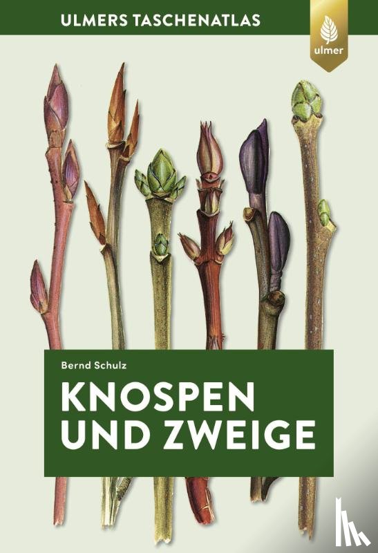 Schulz, Bernd - Knospen und Zweige