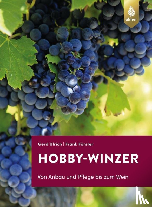 Ulrich, Gerd, Förster, Frank - Hobby-Winzer